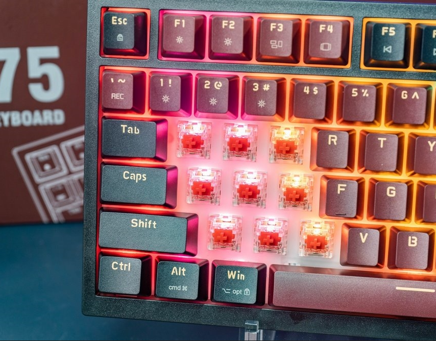 Bàn phím cơ E-DRA EK375 Alpha Red switch